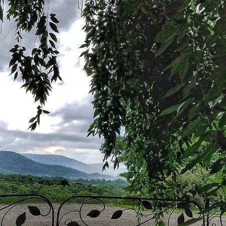 Blue Ridge Manor Bed And Breakfast Fancy Gap ภายนอก รูปภาพ