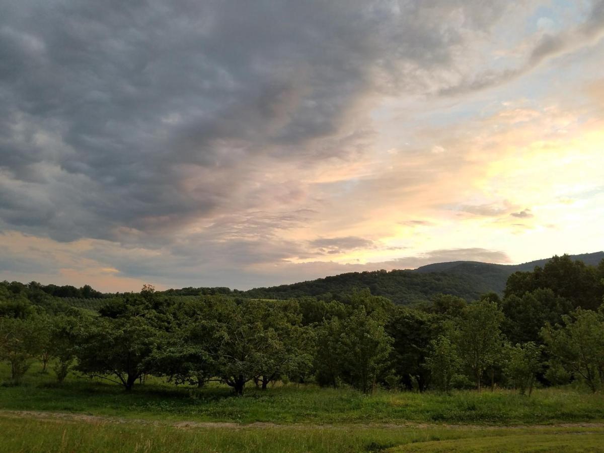 Blue Ridge Manor Bed And Breakfast Fancy Gap ภายนอก รูปภาพ